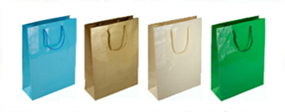 Small Gloss Laminated Paper Bags with Rope Handles-15x20x8cm